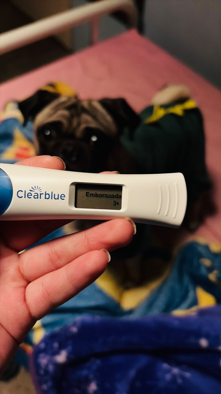 Prueba de Embarazo Positiva – Eliam Eliuth